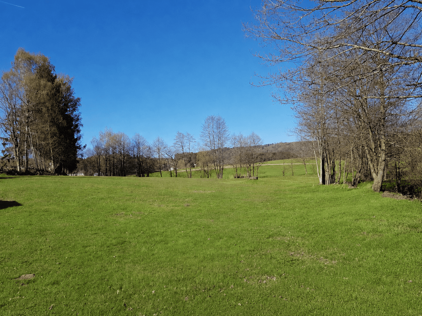 Wiese Mühlhaisl Hütt'n